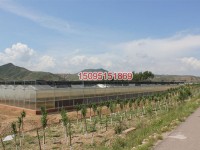 PC板智能溫室骨架